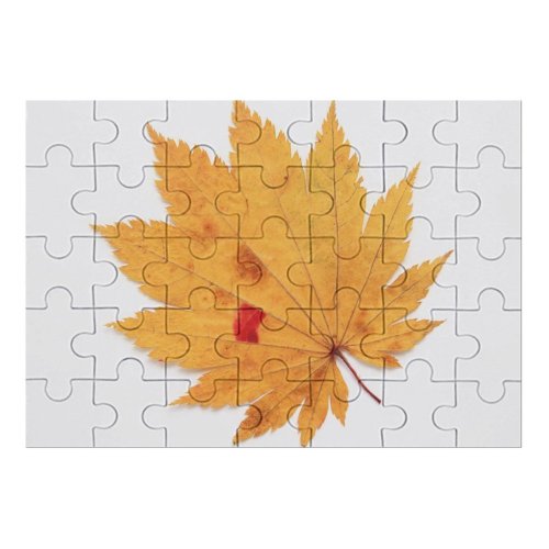 yanfind Picture Puzzle Leaf Plants Garden Flower Honghong Maple Tree Plant Woody Plane Deciduous Flowering Family Game Intellectual Educational Game Jigsaw Puzzle Toy Set