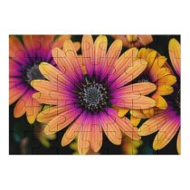 yanfind Picture Puzzle Paul Zoetemeijer Flowers Daisy Flowers Colorful Flowers Closeup Macro Flower Heads Family Game Intellectual Educational Game Jigsaw Puzzle Toy Set