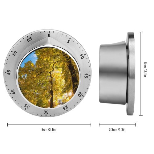 yanfind Timer Images  Lawn Public  Sky Wallpapers Plant Meadow Tree Trunk Warsaw 60 Minutes Mechanical Visual Timer
