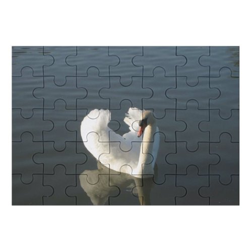 yanfind Picture Puzzle  Lake Quiet Bird Ducks Geese Swans Beak Wing Neck Waterfowl Sky Family Game Intellectual Educational Game Jigsaw Puzzle Toy Set