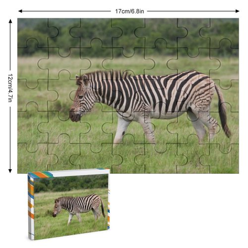 yanfind Picture Puzzle Africa Zebra Wildlife Wild Safari Outdoors Herbivore Horse Stripes Terrestrial Vertebrate Grassland Family Game Intellectual Educational Game Jigsaw Puzzle Toy Set