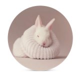 yanfind Ceramic Coasters (round) Cute Rabbit Newborn Baby Bunny Sock Cute Bunny Family Game Intellectual Educational Game Jigsaw Puzzle Toy Set
