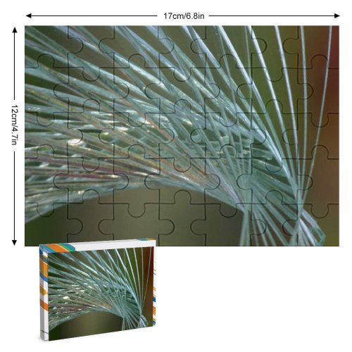 yanfind Picture Puzzle Detailed Art Use Sunlight Glass Lines Abtract Pine Leaf Tree Georgia Plant Family Game Intellectual Educational Game Jigsaw Puzzle Toy Set