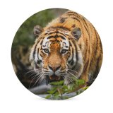 yanfind Ceramic Coasters (round) Bengal  Big Cat  Wild Family Game Intellectual Educational Game Jigsaw Puzzle Toy Set