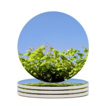 yanfind Ceramic Coasters (round) Sky Skies Plant Plants Leaf Leafs Bush Bushes Border Fence Flower Flowering Family Game Intellectual Educational Game Jigsaw Puzzle Toy Set