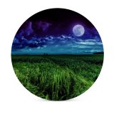 yanfind Ceramic Coasters (round)  Landscape Night Field Cloudy Family Game Intellectual Educational Game Jigsaw Puzzle Toy Set