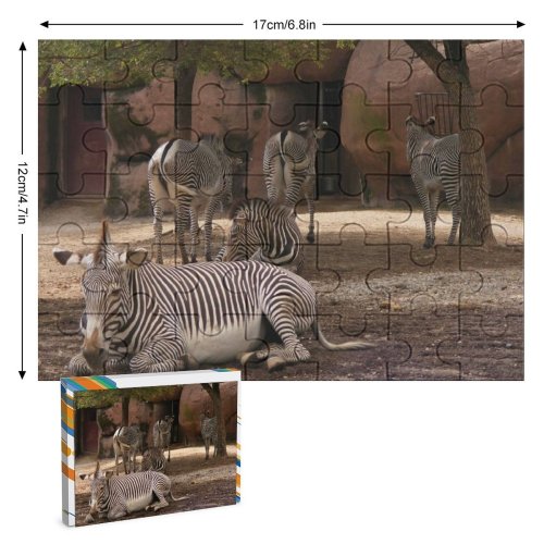 yanfind Picture Puzzle Zebras Zebra Stripes Contrast Horse Africa Terrestrial Vertebrate Wildlife Snout Adaptation Family Game Intellectual Educational Game Jigsaw Puzzle Toy Set