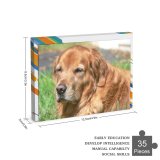 yanfind Picture Puzzle Golden Dog Vertebrate Canidae Carnivore Sporting Family Game Intellectual Educational Game Jigsaw Puzzle Toy Set