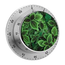 yanfind Timer Leaves Plant 60 Minutes Mechanical Visual Timer