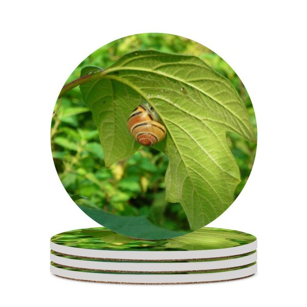 yanfind Ceramic Coasters (round) Snail Leaf Leaves Plant Flower Insect Organism Invertebrate Butterfly Flowering Family Game Intellectual Educational Game Jigsaw Puzzle Toy Set