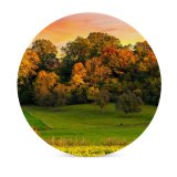 yanfind Ceramic Coasters (round) Bruno Glätsch Autumn Trees Sunset Landscape Afterglow Meadow Grass Field Greenery Beautiful Family Game Intellectual Educational Game Jigsaw Puzzle Toy Set