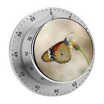 yanfind Timer Petals Images Pretty Insect Spring Wing Underside Wildlife Wallpapers Outdoors Serenity Summer 60 Minutes Mechanical Visual Timer
