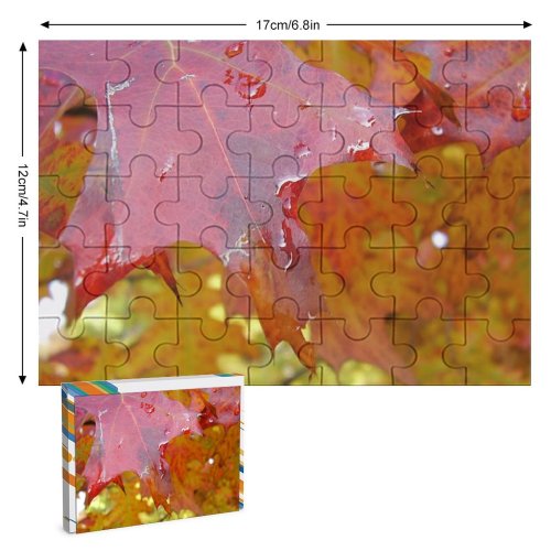 yanfind Picture Puzzle Leaf Autumn Tree Maple Plant Family Game Intellectual Educational Game Jigsaw Puzzle Toy Set
