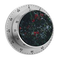 yanfind Timer Images Yew Bush Christmas Flora HQ Xmas Wallpapers Plant Tree Winter Pictures 60 Minutes Mechanical Visual Timer
