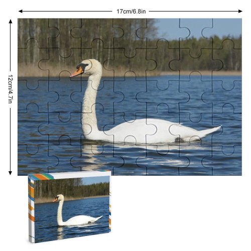 yanfind Picture Puzzle  Flock Mazury River Lake Lakes Krutyn Poland Bird Birds Vertebrate Ducks Family Game Intellectual Educational Game Jigsaw Puzzle Toy Set