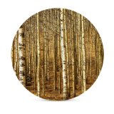 yanfind Ceramic Coasters (round) Tree Trees Forest Woods Relaxing Peace Grass Soothing Clean   Birch Family Game Intellectual Educational Game Jigsaw Puzzle Toy Set