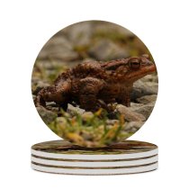 yanfind Ceramic Coasters (round) Relaxing Images  Go Frog Toad Grumpy Public Lizard Wildlife Reptile Away Family Game Intellectual Educational Game Jigsaw Puzzle Toy Set
