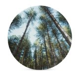 yanfind Ceramic Coasters (round) Fir Images Wide Landscape Wallpapers Plant Tree Free Abies Frosty Forest Woodland Family Game Intellectual Educational Game Jigsaw Puzzle Toy Set
