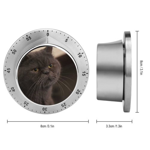 yanfind Timer Lovely Images Pet Cafe Manx Wallpapers Closeup Stock Free Pictures Cat Grey 60 Minutes Mechanical Visual Timer