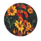 yanfind Ceramic Coasters (round) Images Petal Aster Treasure Wallpapers Plant Asteraceae Pollen Summer Pictures Daisy Flower Family Game Intellectual Educational Game Jigsaw Puzzle Toy Set