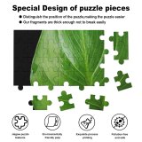 yanfind Picture Puzzle Leaf Raindrop Vein Distort Terrestrial Plant Flower Botany  Lily Flowering Banana Family Game Intellectual Educational Game Jigsaw Puzzle Toy Set