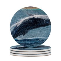 yanfind Ceramic Coasters (round) Images  Réunion French Marine Island Sea Wallpapers Stock Free Pictures Family Game Intellectual Educational Game Jigsaw Puzzle Toy Set