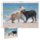 yanfind Picture Puzzle Dog Beach Play Sand Foreshore Coast Vertebrate Canidae Carnivore Sporting Working Street Family Game Intellectual Educational Game Jigsaw Puzzle Toy Set