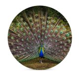yanfind Ceramic Coasters (round) Paul Carmona  Grass Beautiful Feathers Bird Trees Colorful Family Game Intellectual Educational Game Jigsaw Puzzle Toy Set