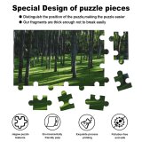 yanfind Picture Puzzle Grass Trees Woods Daylight Forest Landscape Family Game Intellectual Educational Game Jigsaw Puzzle Toy Set