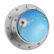yanfind Timer Flowers Dandelion Flower Dragonflies Sky Insects Sky 60 Minutes Mechanical Visual Timer