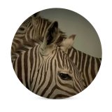 yanfind Ceramic Coasters (round) Welt Zebra Striped Lined with Respect Closeness Maasai Mara Savannas Wildlife Herbivore Family Game Intellectual Educational Game Jigsaw Puzzle Toy Set