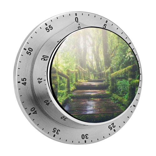 yanfind Timer Sasin Tipchai Rainforest Wooden  Daylight Footpath Forest 60 Minutes Mechanical Visual Timer