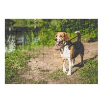 yanfind Picture Puzzle Ground Images Pet  Hound Grass Wallpapers Pedigreed Beagle Stock Free Aquatic Family Game Intellectual Educational Game Jigsaw Puzzle Toy Set