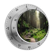 yanfind Timer Saxon Switzerland National Park Forest Light 60 Minutes Mechanical Visual Timer
