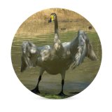 yanfind Ceramic Coasters (round) Whooper  Beak Kneck Feather Flap Wing Bill Wetland Bird Cob Wildfowl Family Game Intellectual Educational Game Jigsaw Puzzle Toy Set
