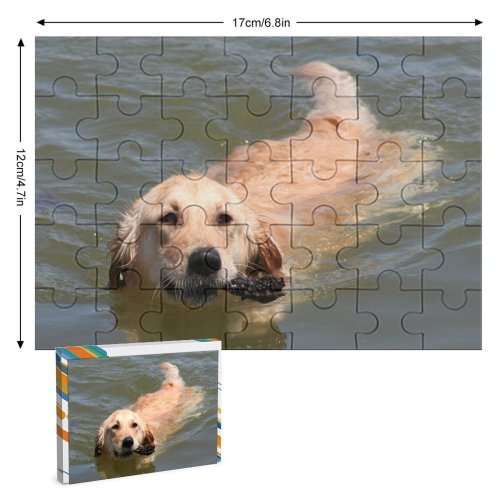 yanfind Picture Puzzle Golden Dog Swim Beach Fetch Pet Vertebrate Canidae Carnivore Sporting Family Game Intellectual Educational Game Jigsaw Puzzle Toy Set