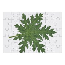 yanfind Picture Puzzle Leaf Structure Design Patter Texture Plant Flower Plane Tree Flowering Maple Silver Family Game Intellectual Educational Game Jigsaw Puzzle Toy Set