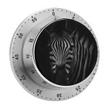 yanfind Timer Images Kruger Africa Wildlife Wallpapers Zebra Pictures Face Endangered Creative National Grey 60 Minutes Mechanical Visual Timer