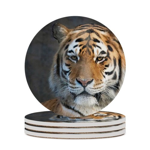 yanfind Ceramic Coasters (round) Bengal  Portrait Family Game Intellectual Educational Game Jigsaw Puzzle Toy Set