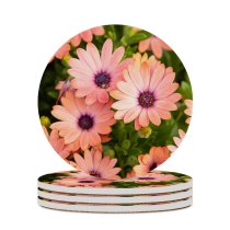 yanfind Ceramic Coasters (round) Mitchell Luo Flowers Daisies Floral  Bloom Spring Closeup Beautiful Family Game Intellectual Educational Game Jigsaw Puzzle Toy Set