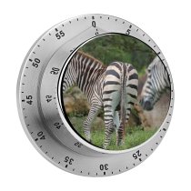 yanfind Timer Images Country Fl Wildlife Wallpapers Safari Loxahatchee Stripes Zebra Pictures Creative Lion 60 Minutes Mechanical Visual Timer