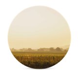 yanfind Ceramic Coasters (round) Golden Images  Land Fog Spring Vineyard Vineyards Landscape Hills Outdoors Tree Family Game Intellectual Educational Game Jigsaw Puzzle Toy Set