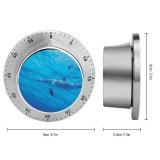 yanfind Timer Dolphins Underwater Under Sea Aqua 60 Minutes Mechanical Visual Timer