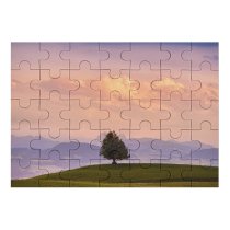 yanfind Picture Puzzle Dominic Kamp Solitude Tree Meadow Landscape Cloudy Sky Mountains Family Game Intellectual Educational Game Jigsaw Puzzle Toy Set