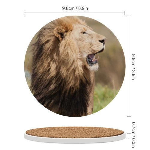yanfind Ceramic Coasters (round) Images Kruger Southafrica Africa Wildlife Safari Fauna Free Simba Pictures Mane Bigfive Family Game Intellectual Educational Game Jigsaw Puzzle Toy Set