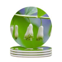 yanfind Ceramic Coasters (round) Astragalus Images Ogorod Spring Petal Flowers Wallpapers Plant Garden Amaryllidaceae Pollen Free Family Game Intellectual Educational Game Jigsaw Puzzle Toy Set