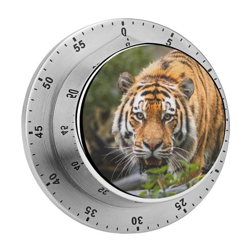 yanfind Timer Bengal  Big Cat  Wild 60 Minutes Mechanical Visual Timer