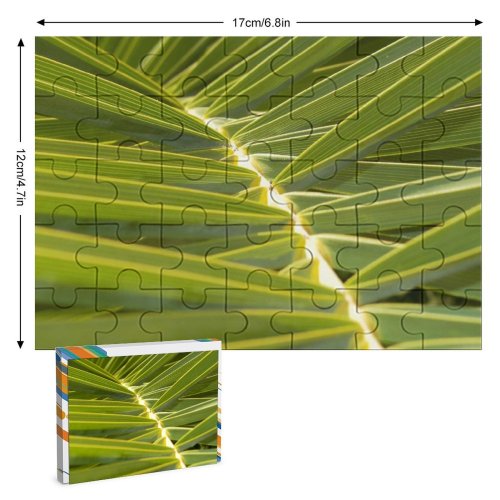 yanfind Picture Puzzle Leaf Terrestrial Plant Vegetation Arecales Palm Tree Flower Family Game Intellectual Educational Game Jigsaw Puzzle Toy Set