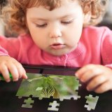 yanfind Picture Puzzle Leaf Spring Ozalj Croatia Flower Plant Bud Botany Flowering Macro Stem Family Game Intellectual Educational Game Jigsaw Puzzle Toy Set