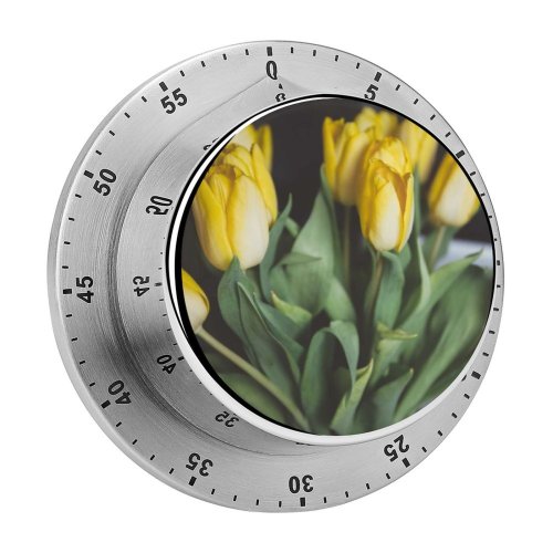 yanfind Timer Images Arrangement Tullips Bouquet Floral Flora Spring Petal Wallpapers Plant Tulip Pictures 60 Minutes Mechanical Visual Timer